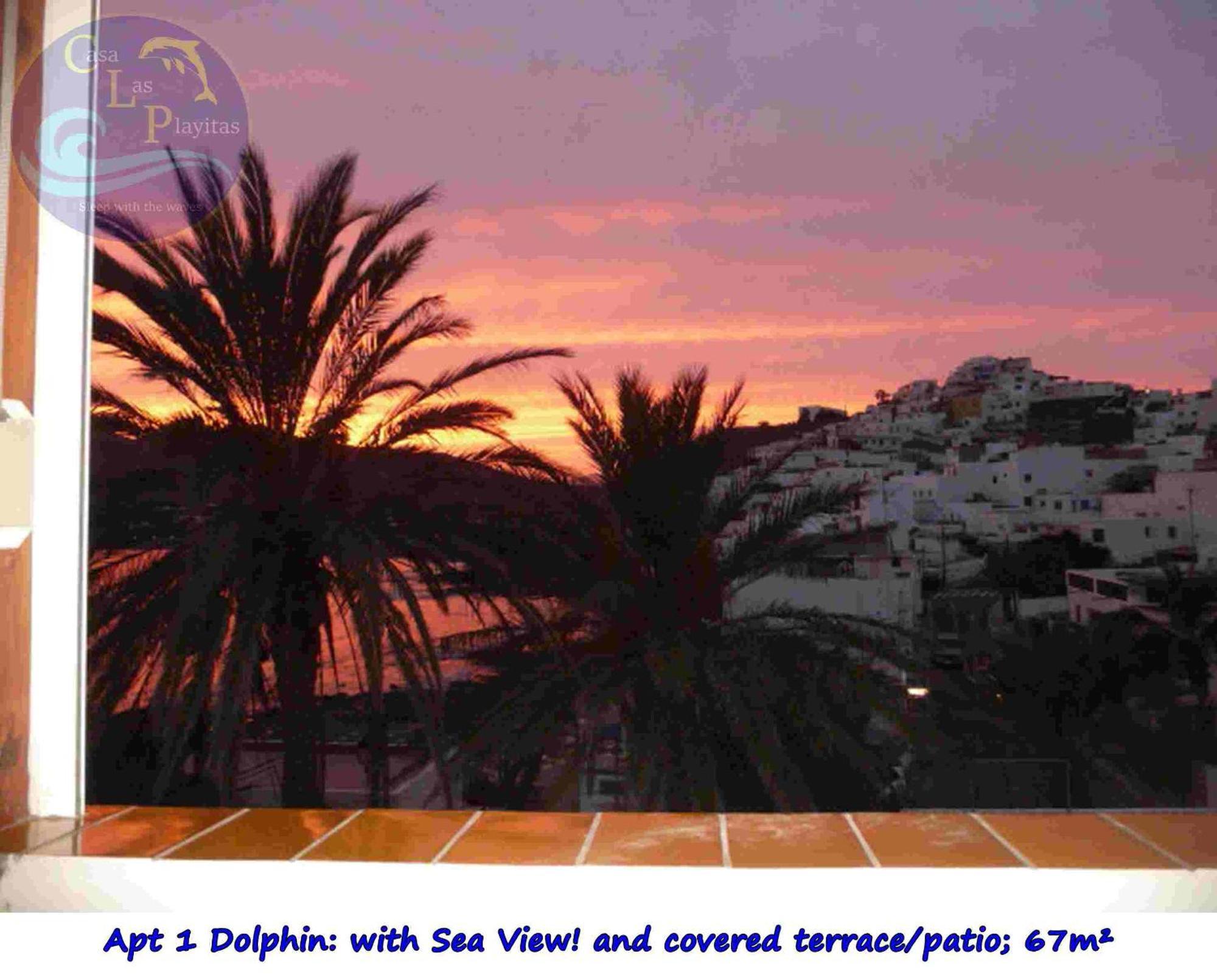 Casa Las Playitas -Clp- Best Sea View - In 1 Minute Ocean Las Playas Eksteriør bilde