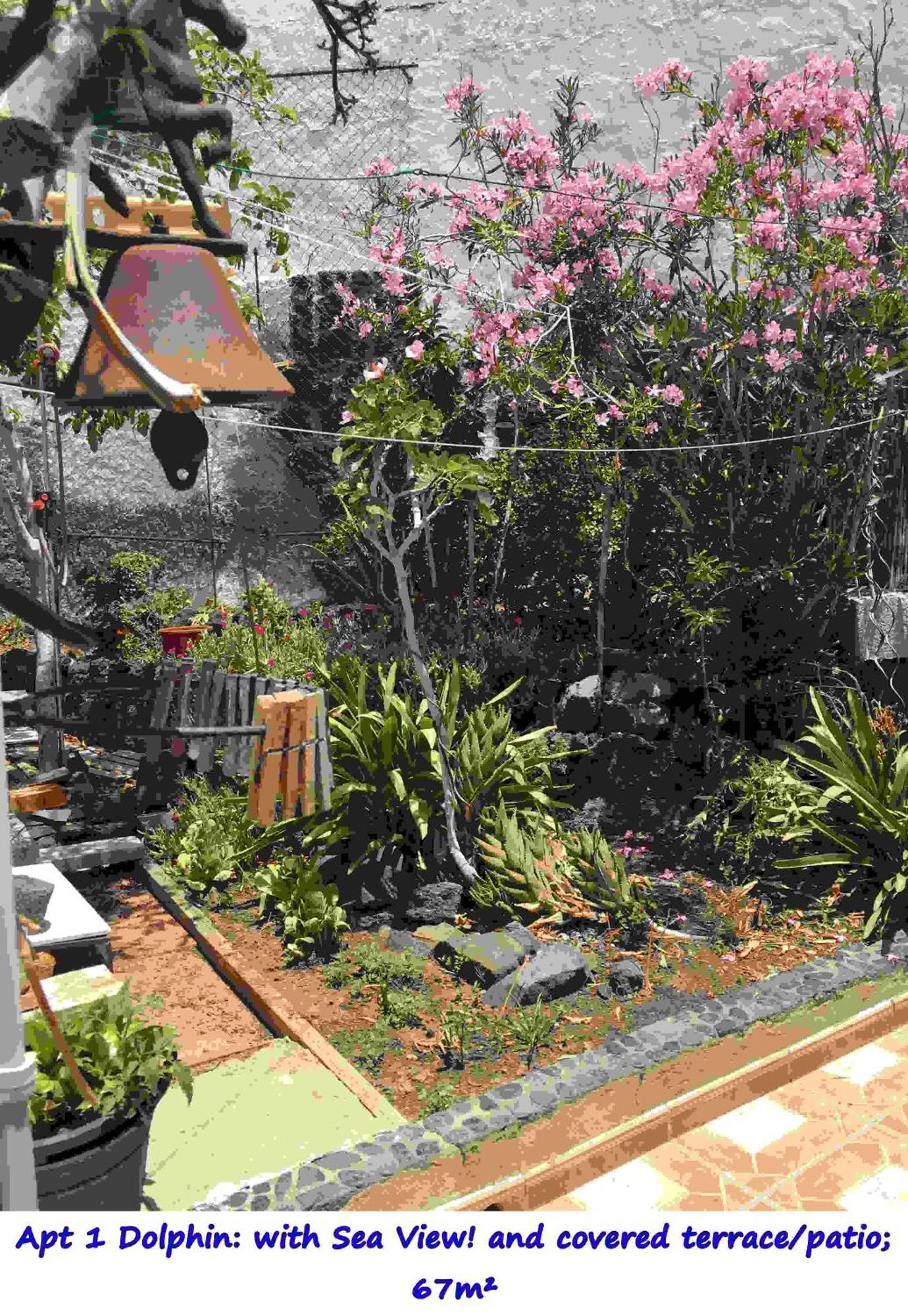 Casa Las Playitas -Clp- Best Sea View - In 1 Minute Ocean Las Playas Eksteriør bilde